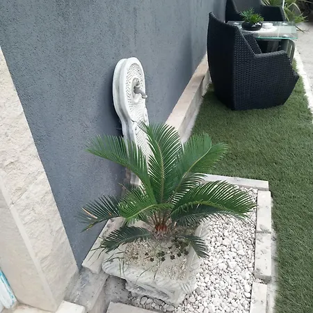 S-type In The Center *