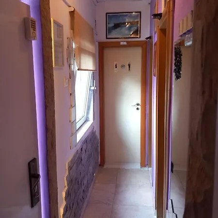 Apartment S-Type Apartment In The Center Split