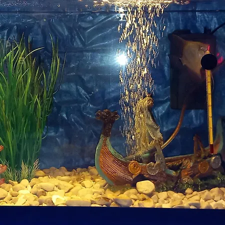 شقة S-type In The Center *