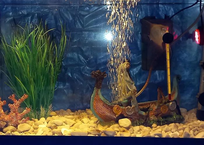 아파트 S-type In The Center *